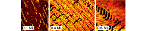 Angew_7874_7877